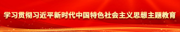 大鸡吧日逼片学习贯彻习近平新时代中国特色社会主义思想主题教育